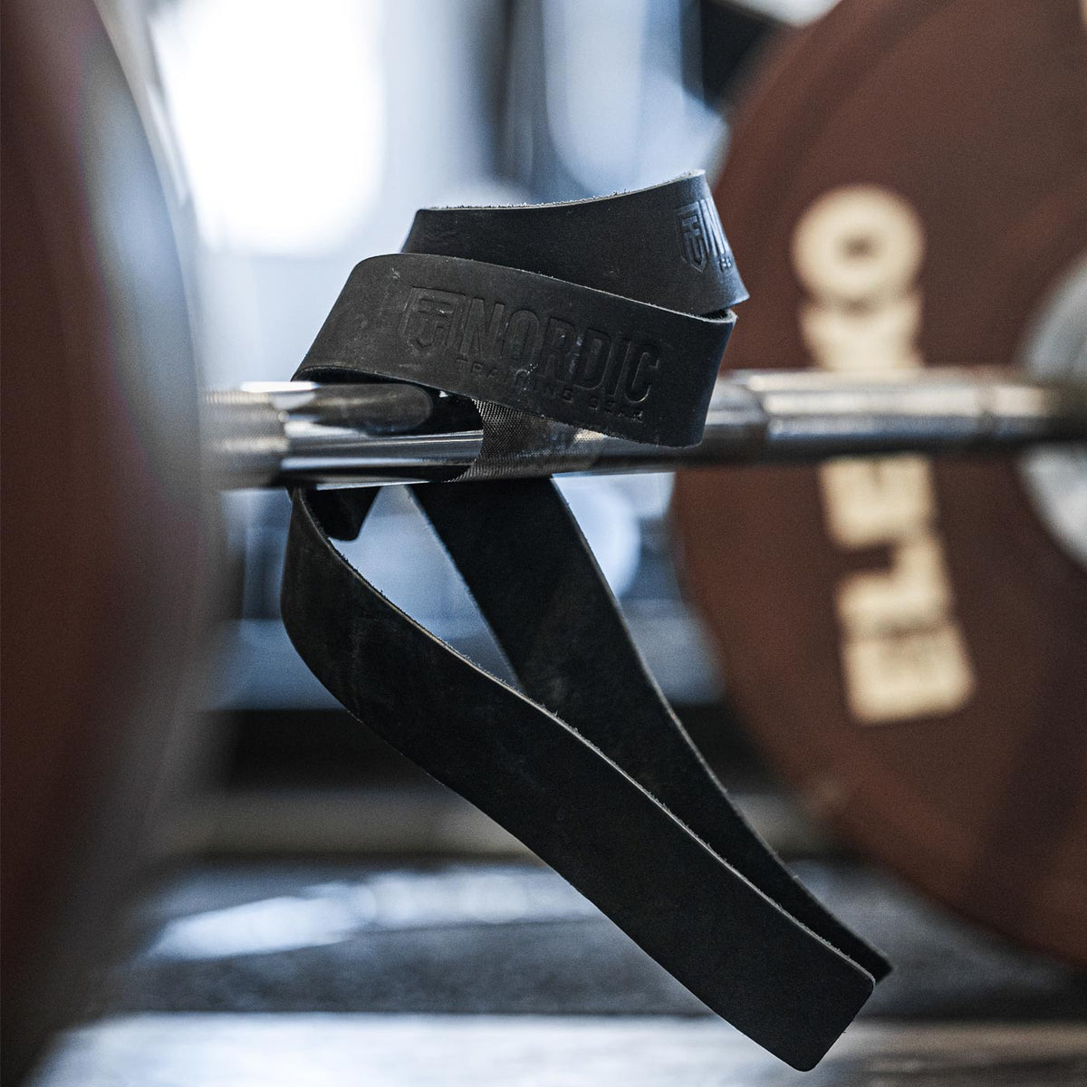 Lifting Straps Leather | NTGear.se